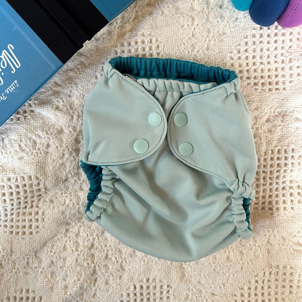 Esembly Cloth Diaper Cover - Mist